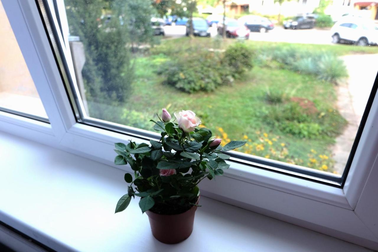 Apartament Jaukus Koko Butas 1 Aukste Kowno Zewnętrze zdjęcie